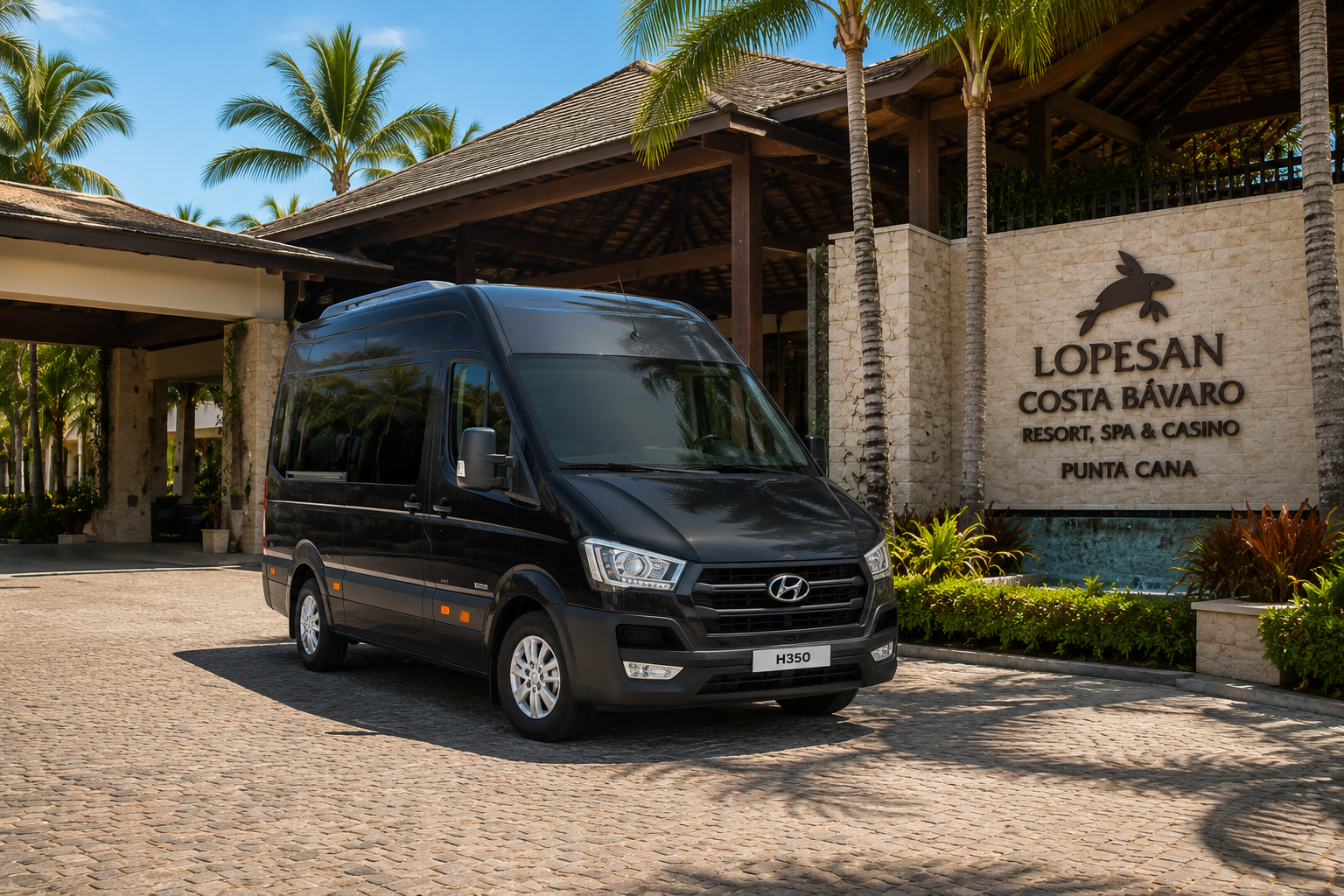 Luxury Van